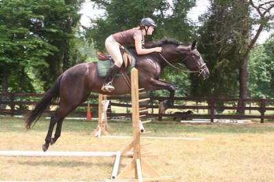 Equine Kingdom - Sally Cochran jumping Mystique